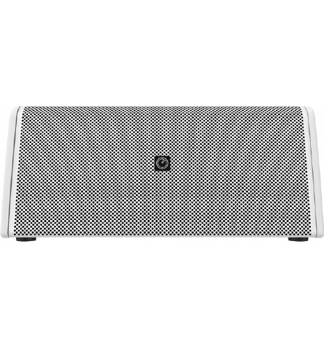 INTUSONIC IntuCab 8SM300T Subwoofer 2x8 Inch LoZ Wit