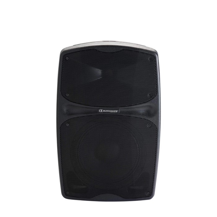 AUDIOPHONY RACER120 EVO Draagbare luidspreker met oplaadbare batterij 120W