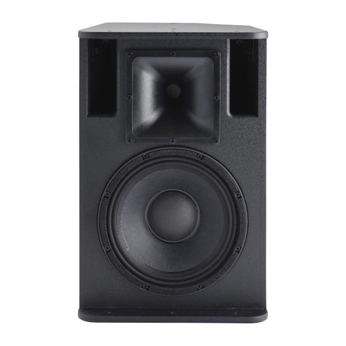 AUDIOPHONY SLine 110 Passieve Installatiespeaker 10"+1" - 250W RMS in 8 Ohm