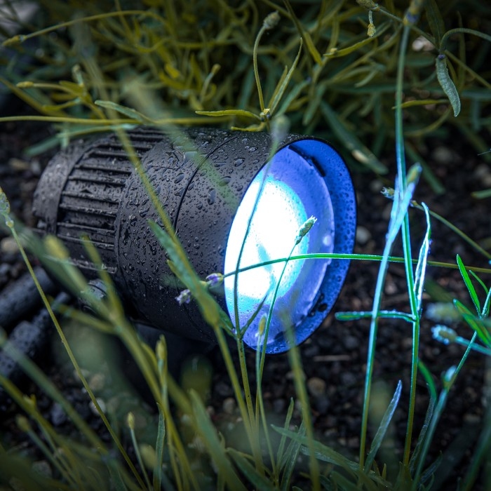 CAMEO Q-SPOT 401 Compacte IP65 Outdoor Spot 40W RGBA LED