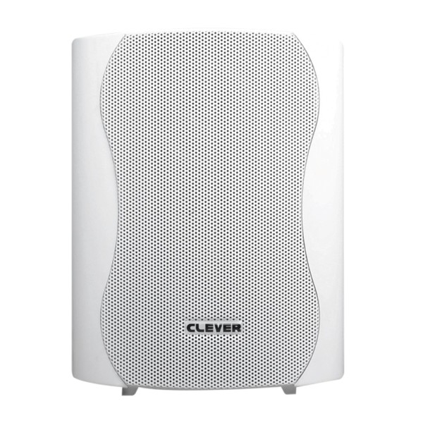 CLEVER ACOUSTICS BGS 25T 100V Speakers (paar)