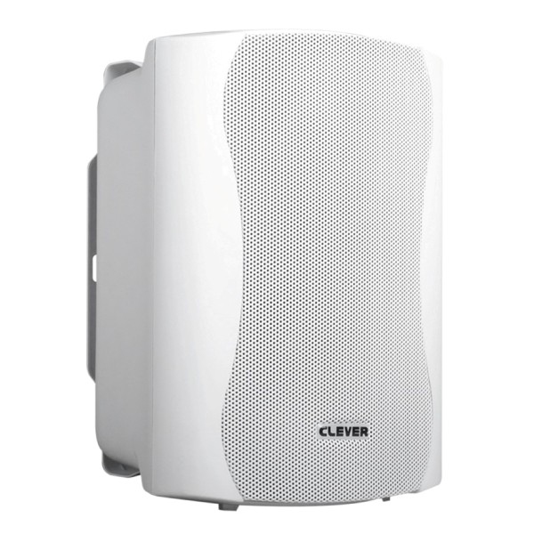 CLEVER ACOUSTICS BGS 35T 100V Speakers (paar)