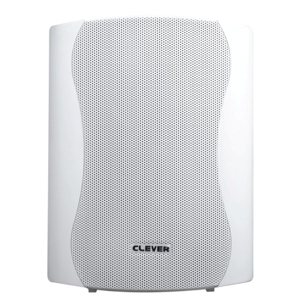 CLEVER ACOUSTICS BGS 35T 100V Speakers (paar)
