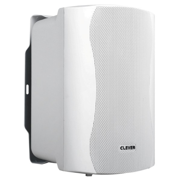 CLEVER ACOUSTICS BGS 50 8 Ohm Speakers (paar)