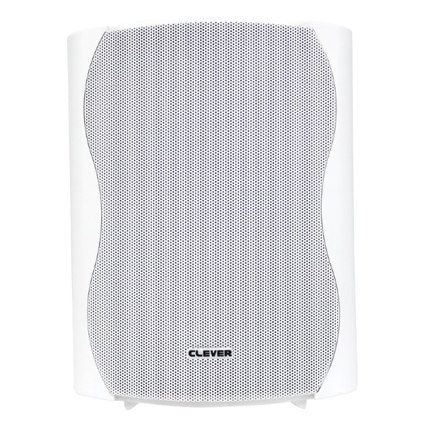CLEVER ACOUSTICS BGS 50T 100V/ 8 Ohm Speakers (paar)