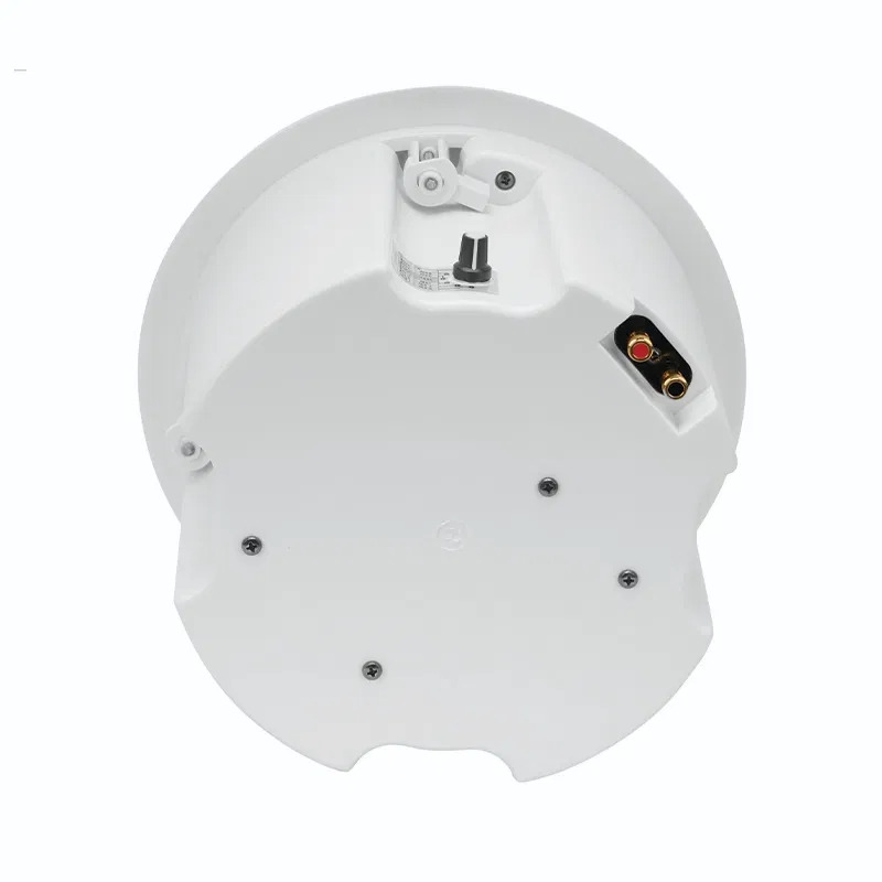CLEVER ACOUSTICS Installatie Plafond Subwoofer