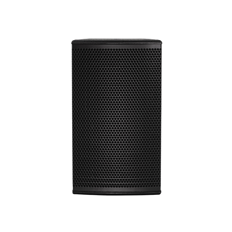 CLEVER SVT100 Installatiespeaker 100W RMS