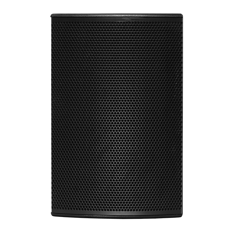 CLEVER SVT250 Installatiespeaker 250W RMS