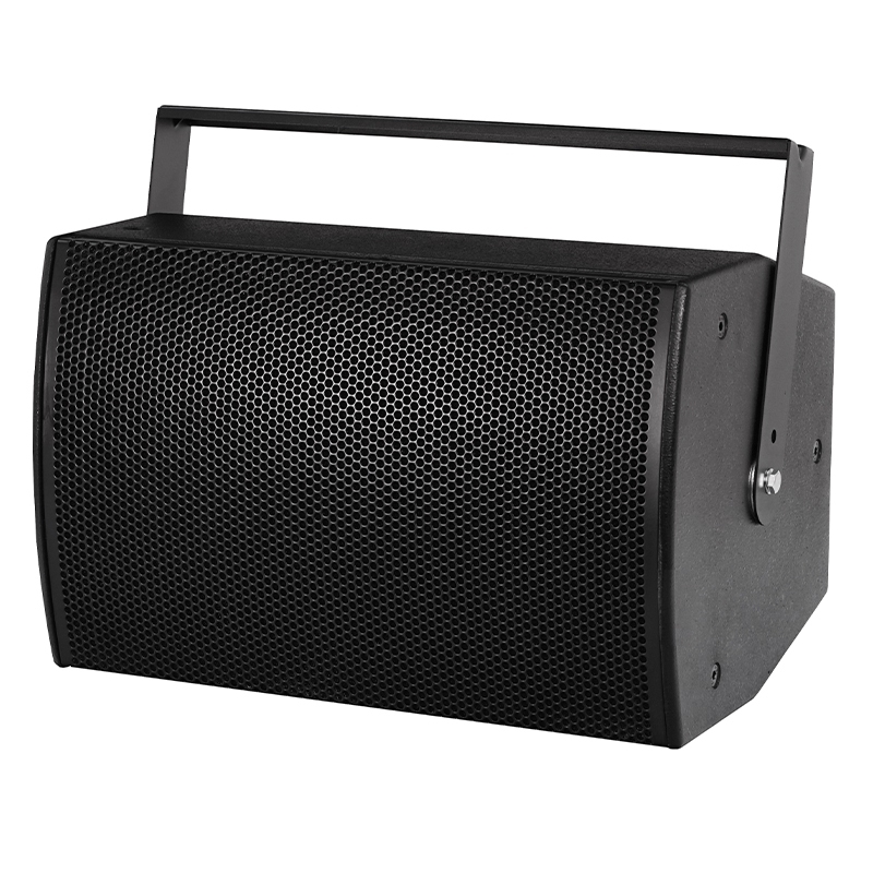CLEVER SVT250 Installatiespeaker 250W RMS