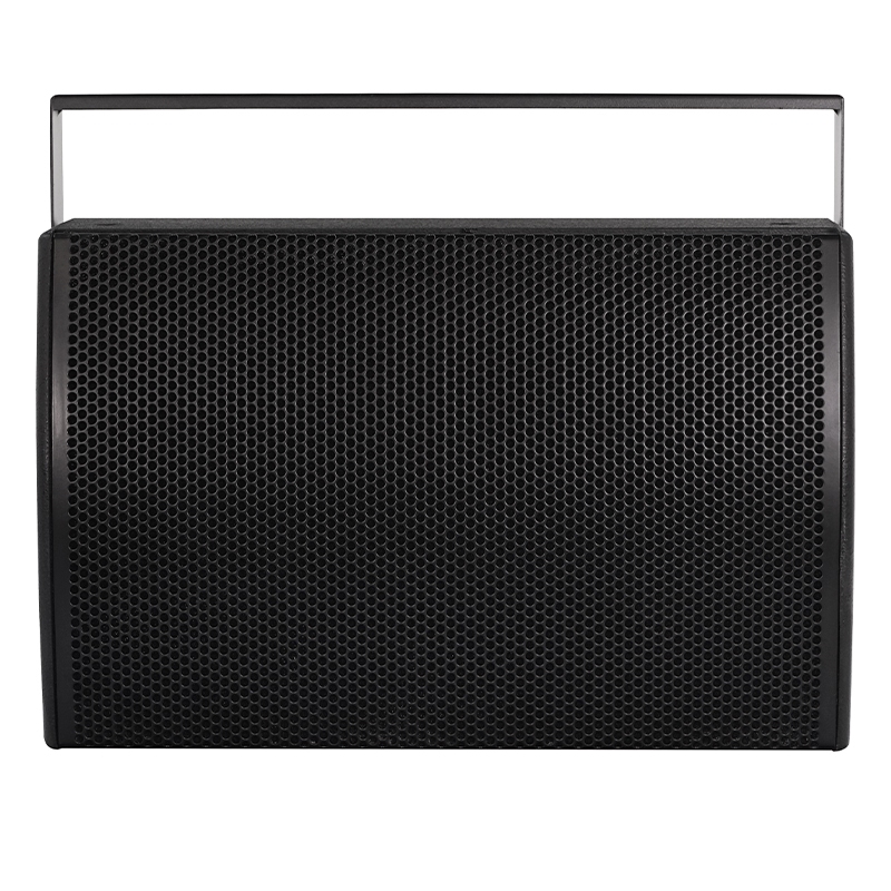 CLEVER SVT250 Installatiespeaker 250W RMS