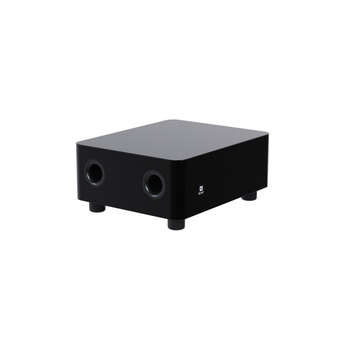ECLER WILD Actieve Subwoofer - Zwart