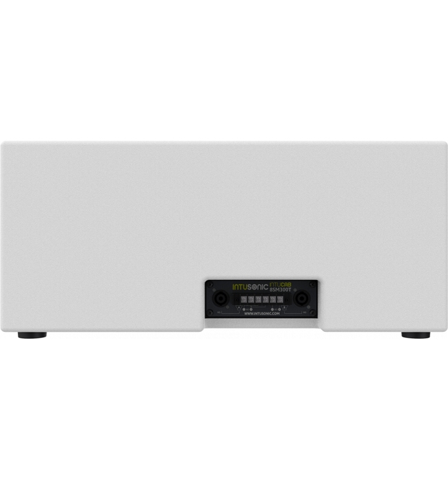 INTUSONIC IntuCab 8SM300T Subwoofer 2x8 Inch LoZ Wit