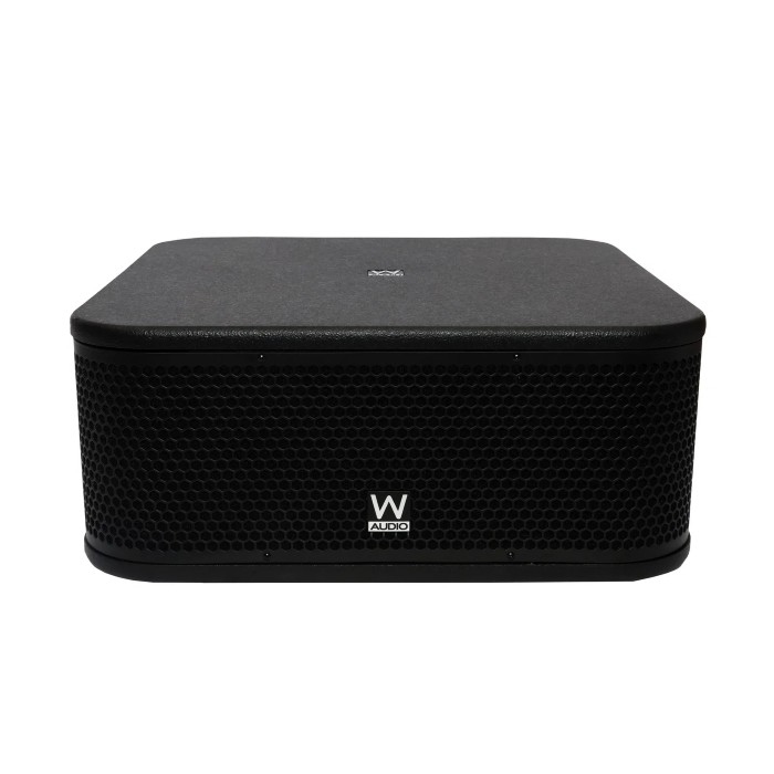 W AUDIO Actieve Subwoofer 350W RMS