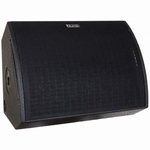 SYNQ SC-12 12S coaxiale speaker 400W